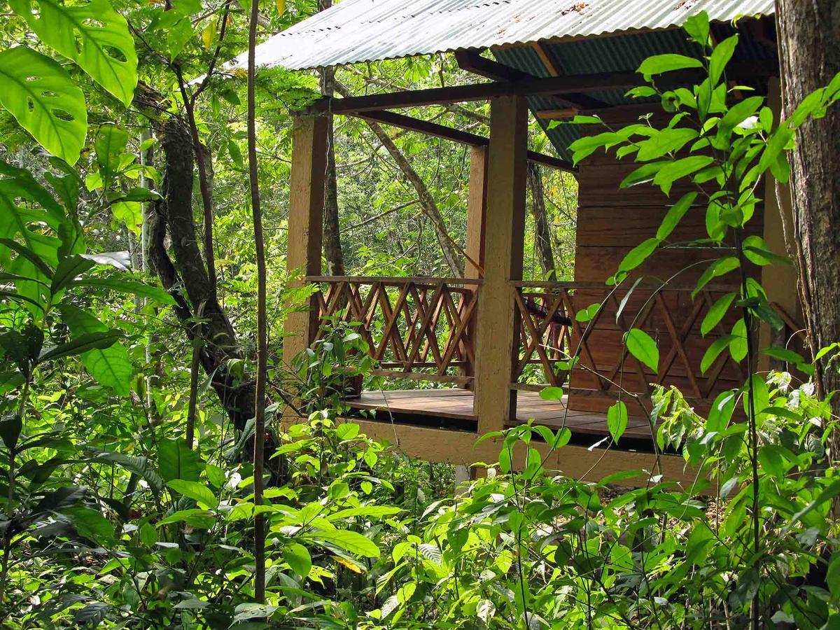 Campamento Rio Lacanjá Kamer foto