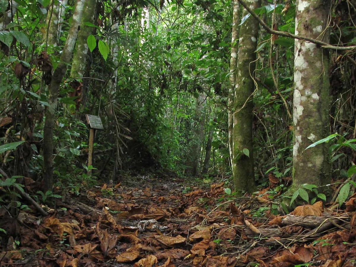 Campamento Rio Lacanjá Buitenkant foto